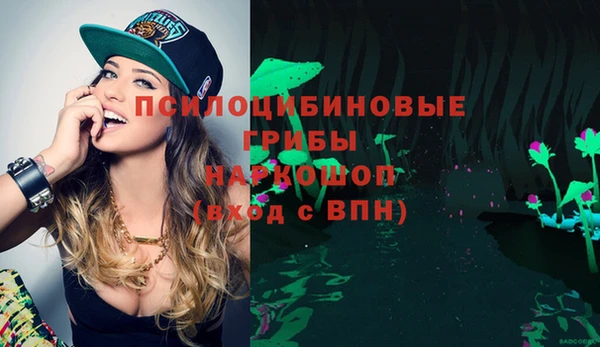 спиды Алексин