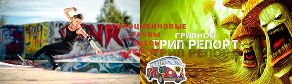 гашик Алексеевка
