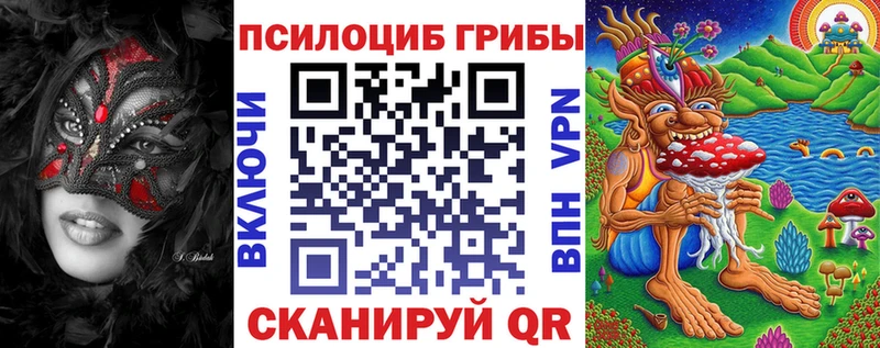 Псилоцибиновые грибы GOLDEN TEACHER OMG как войти Краснознаменск
